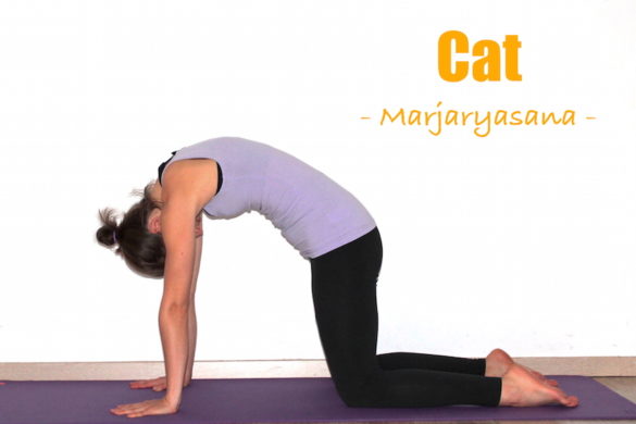 how to do cat cow pose