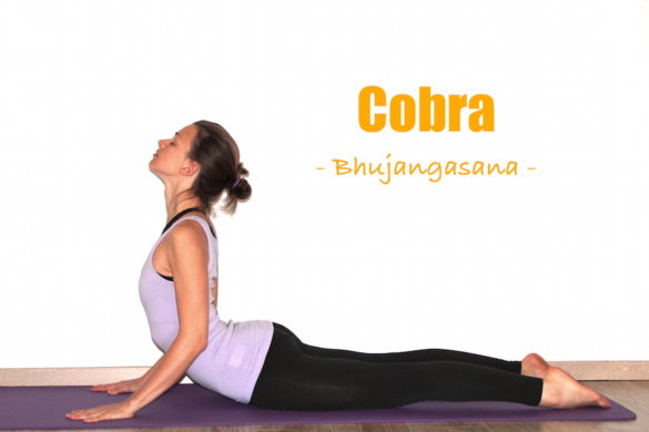how to do cobra pose bhujangasana