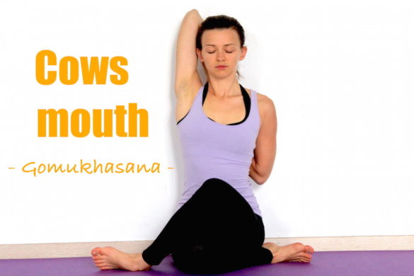 how to do gomukhasana