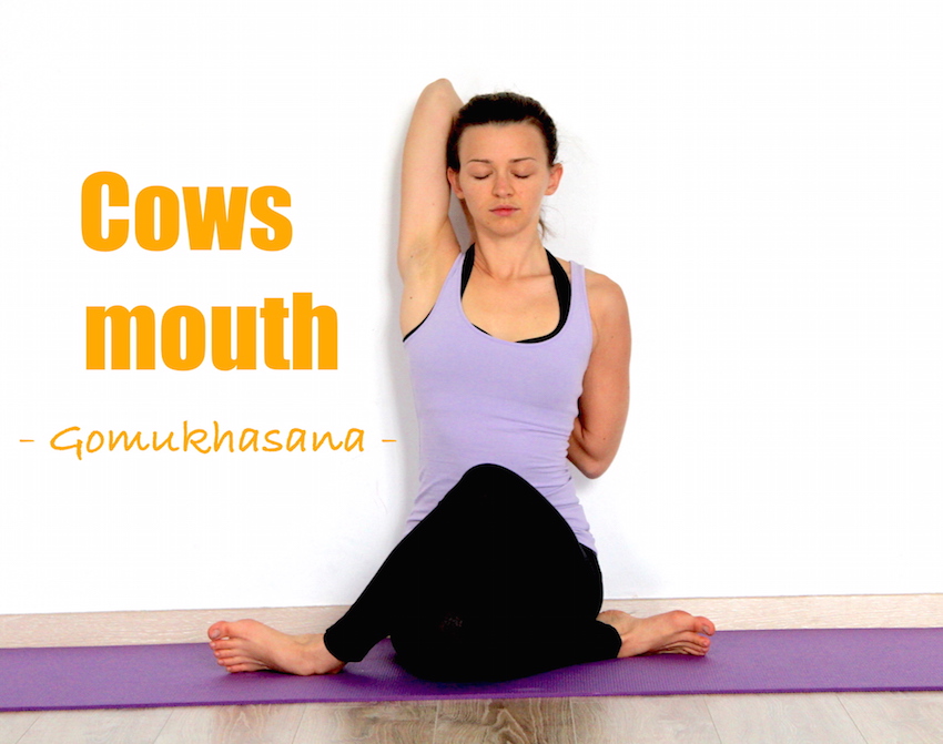 Cow Face Pose, Gomukhasana: Upper Body Stretch and Balance - HubPages