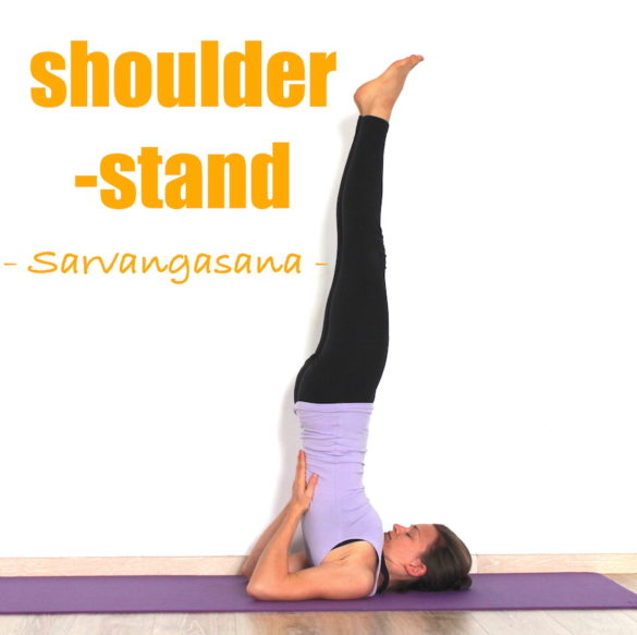 how to do shoulder stand sarvangasana