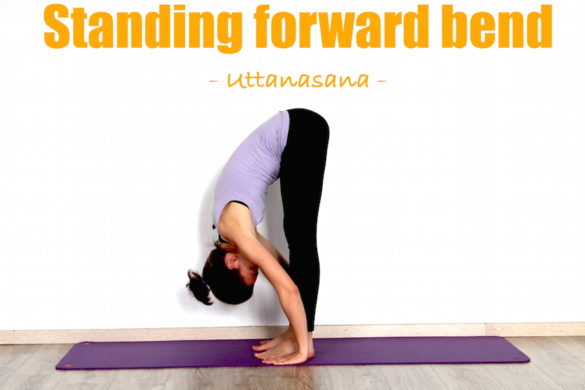 standing forward bend