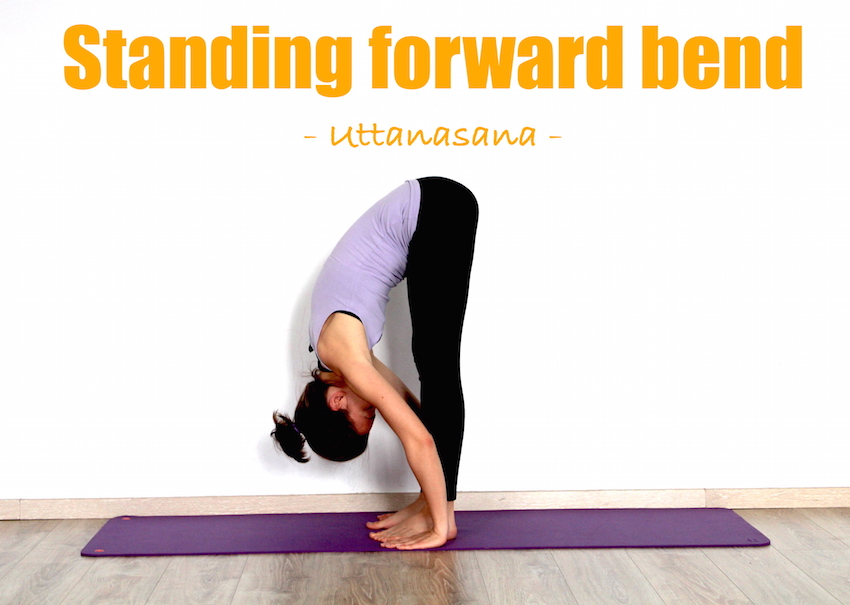 Women silhouette. Standing half forward bend yoga pose. Ardha uttanasana.  Vector illustration 8321580 Vector Art at Vecteezy
